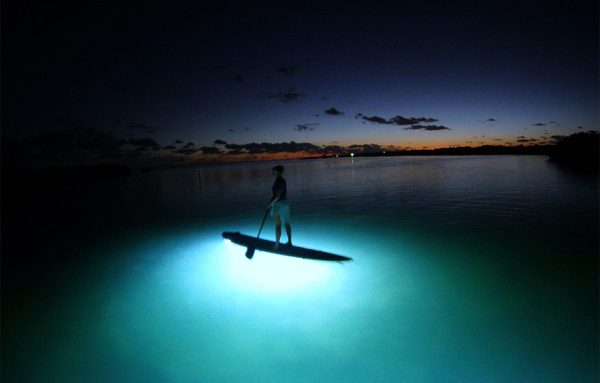 lumiere-stand-up-paddle2