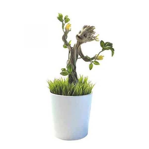 plante-groot-lumineux (1) Plante groot lumineux