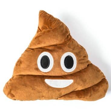 coussin emoticone crotte